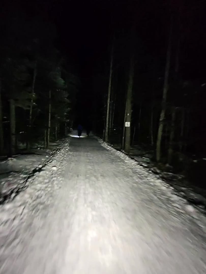 Une sortie d’hiver dans la forêt enneigée du parc naturel Mill Creek