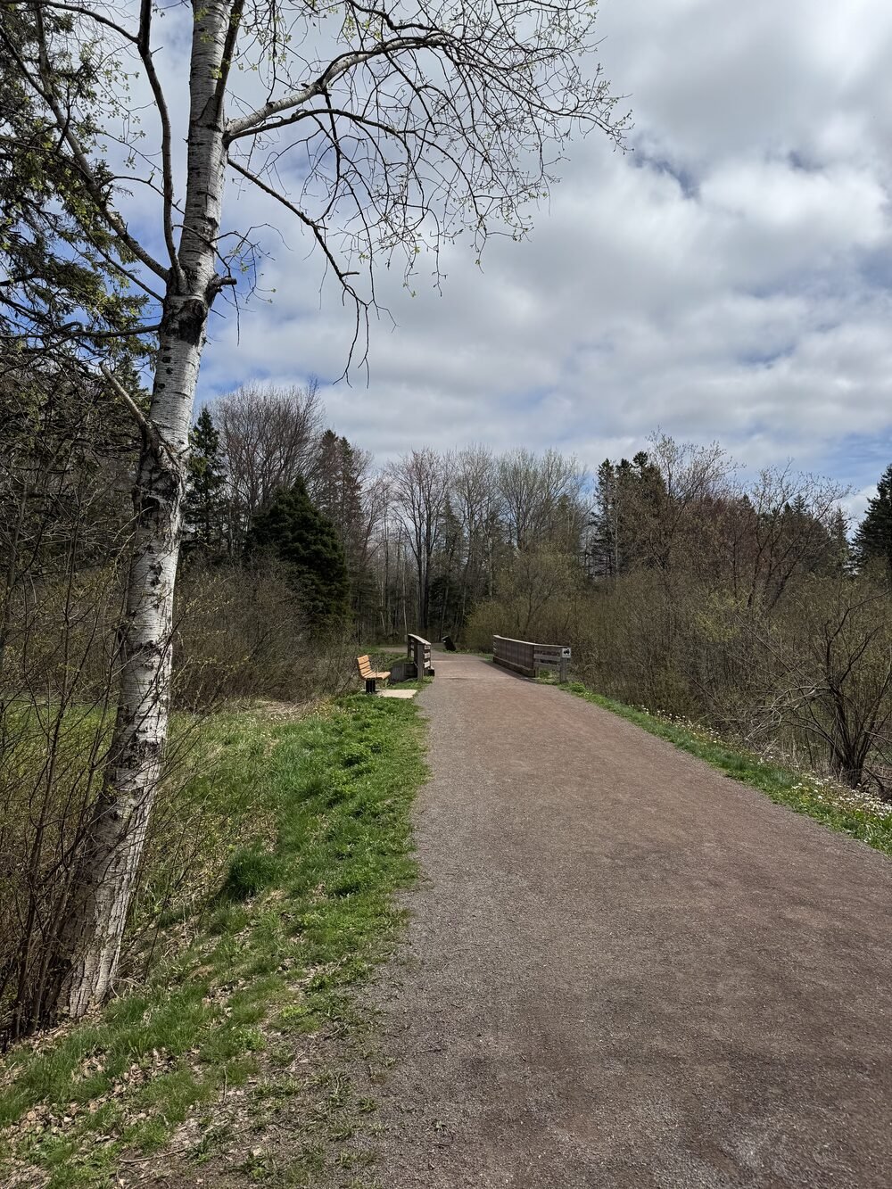 Un sentier de poussière de pierre et un banc dans le vert tendre du printemps